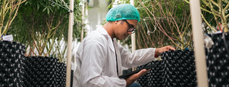 Scientist in GMP outdoor booth inspecting herbal products and taking quality control notes